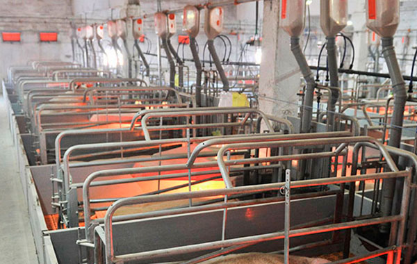 Пылеподавление