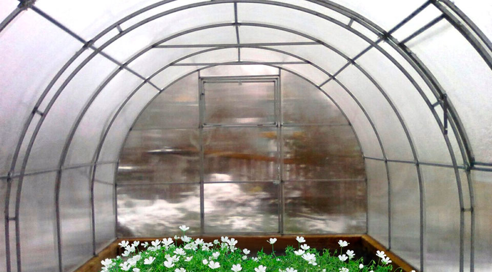 Система туманообразования для охлаждения теплиц, беседок